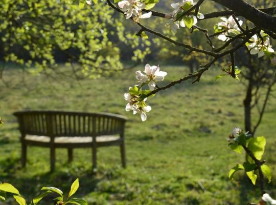 One-Week Ultimate Holgates Silverdale Itinerary