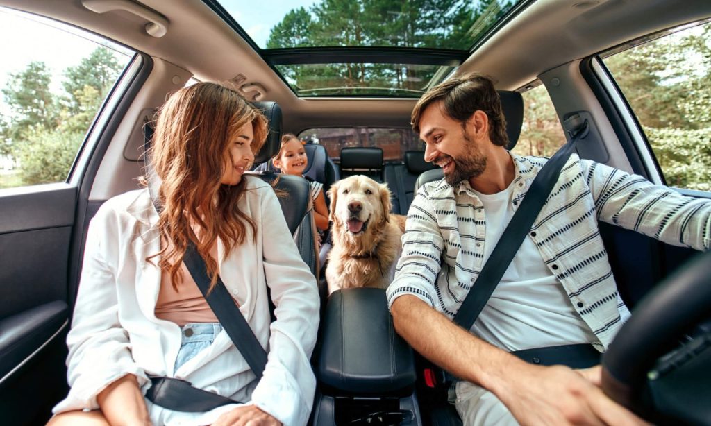dog friendly holidays