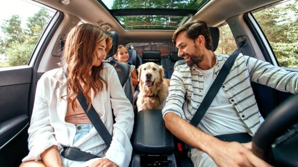 Dog Friendly Holidays