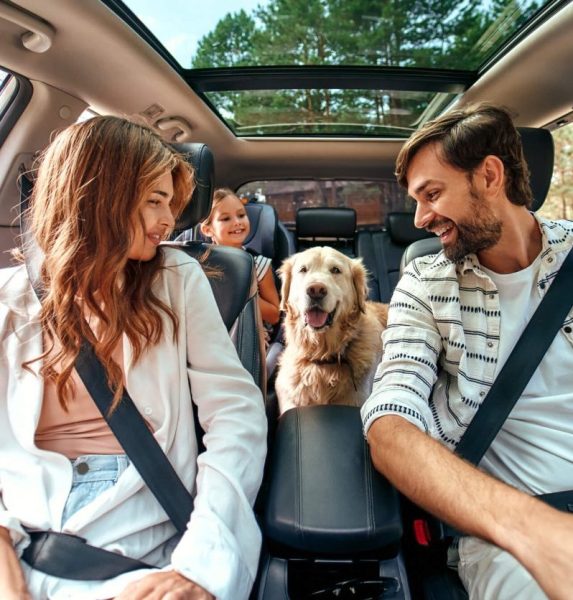 Dog Friendly Holidays