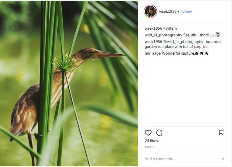Wildlife Animal Spotting - Lake District 