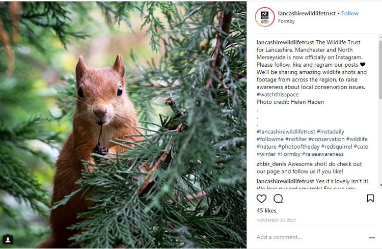 Wildlife Animal Spotting - Lake District 