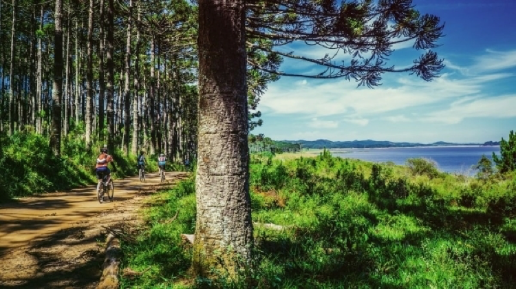 Useful Cycling Trails and Tips 